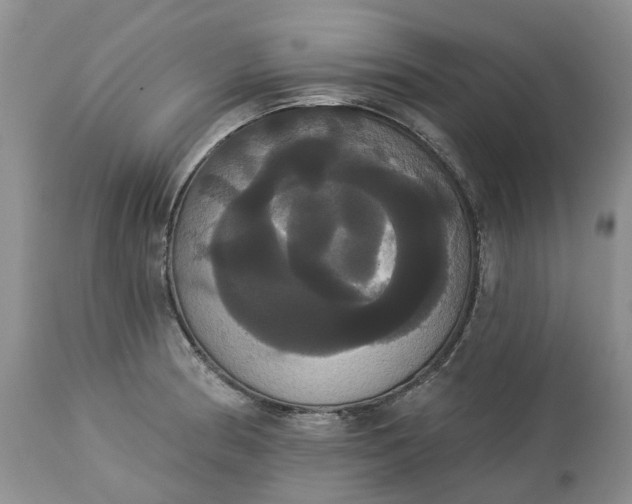 X0000113061186200909110907