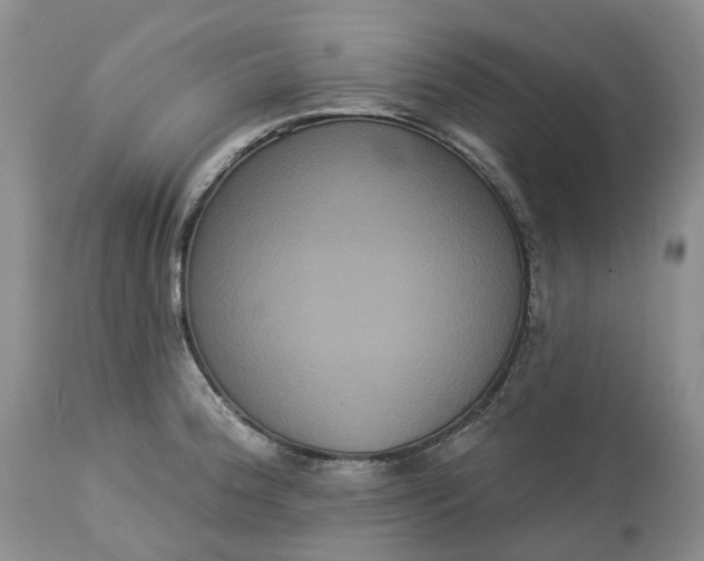 X0000113061188200909110907