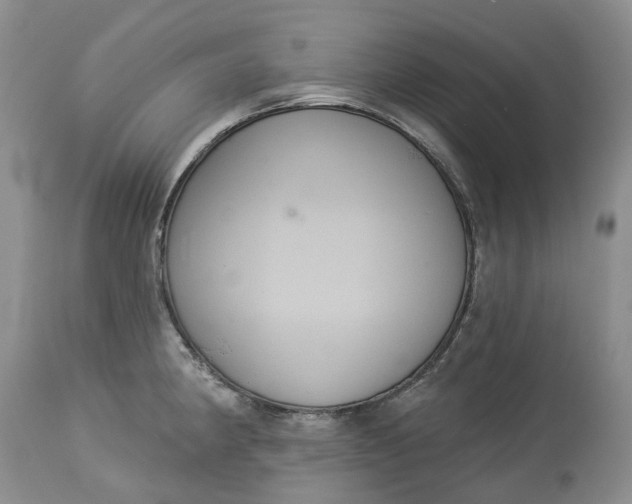 X0000113061190200909110907
