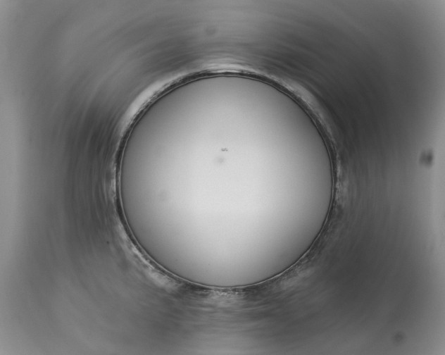 X0000113061191200909110907