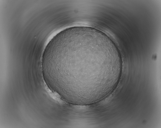 X0000113061192200909110907