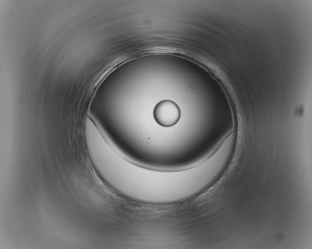 X0000113061193200909110907