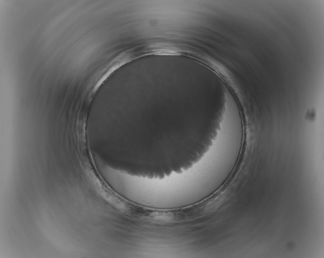 X0000113061194200909110907