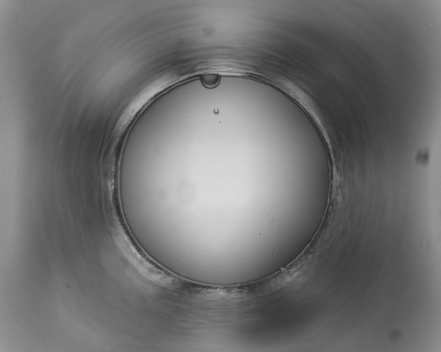 X0000113061195200909110907