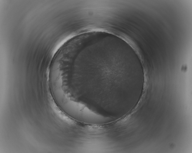 X0000113061198200909110906
