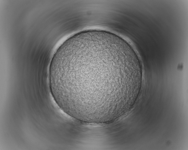 X0000113061199200909110906