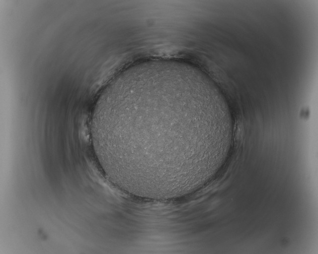 X0000113061202200909110906