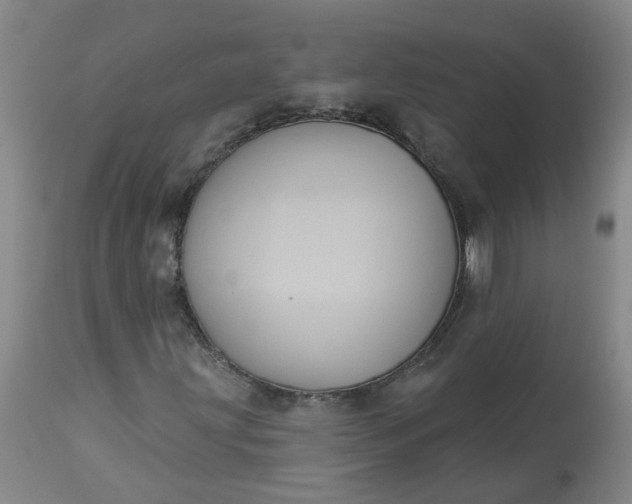 X0000113061203200909110906