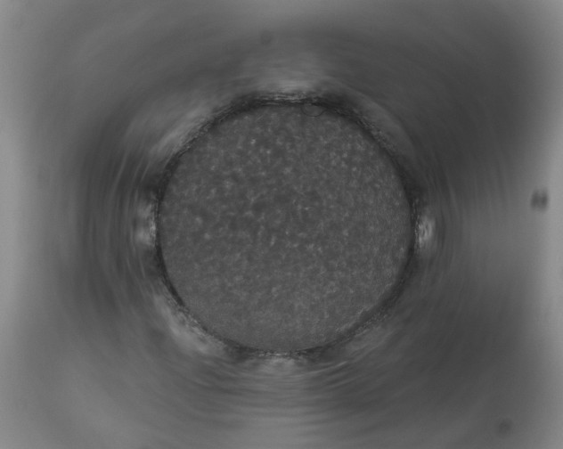 X0000113061204200909110906