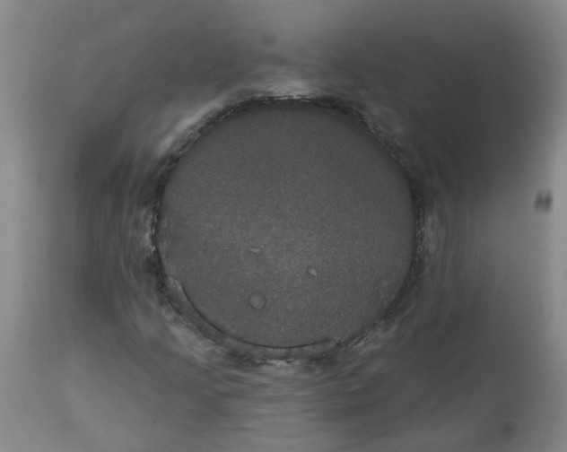 X0000113061205200909110906