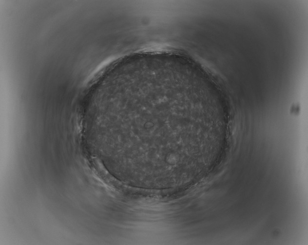 X0000113061206200909110906