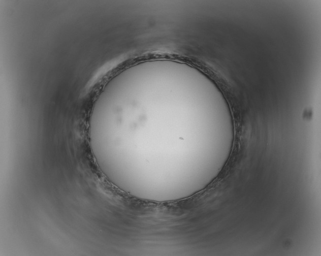 X0000113061207200909110906