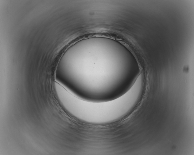 X0000113061209200909110906