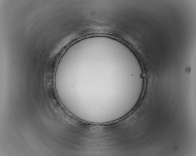 X0000113061211200909110906