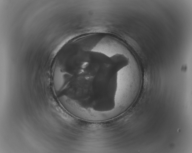 X0000113061212200909110906