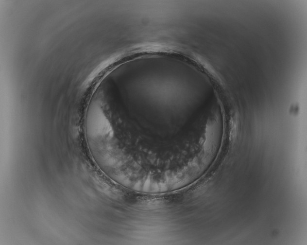 X0000113061213200909110906