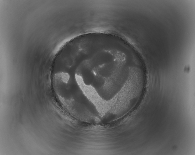 X0000113061214200909110906