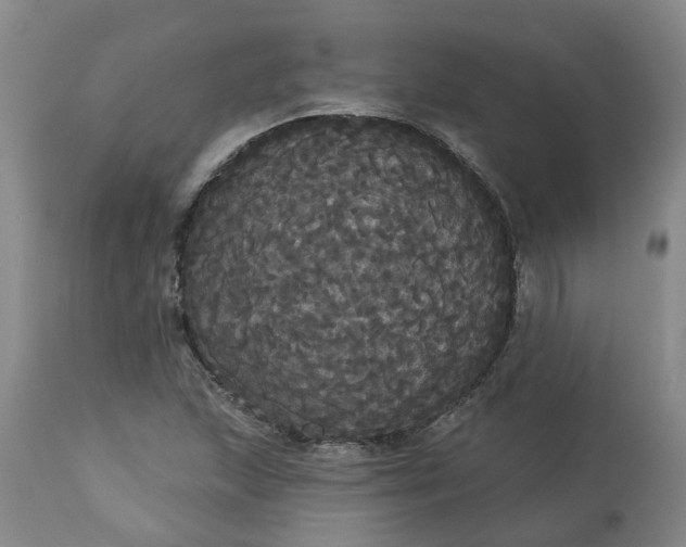 X0000113061215200909110906