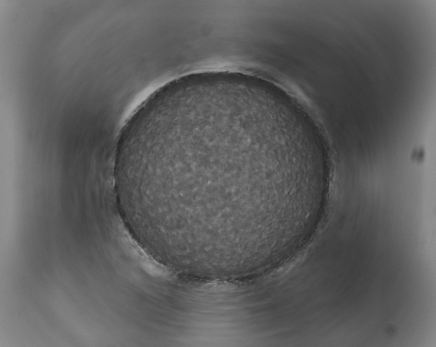 X0000113061216200909110906