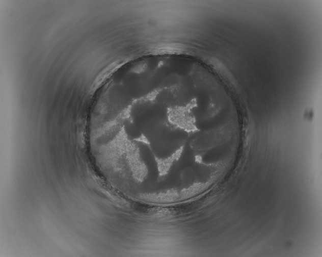 X0000113061217200909110906