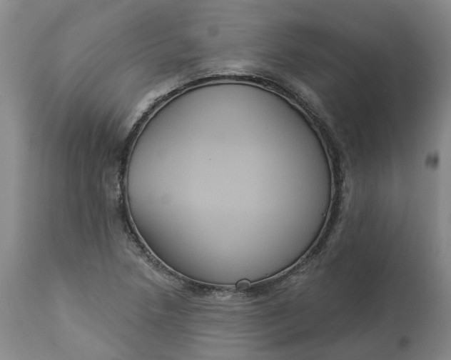 X0000113061218200909110906