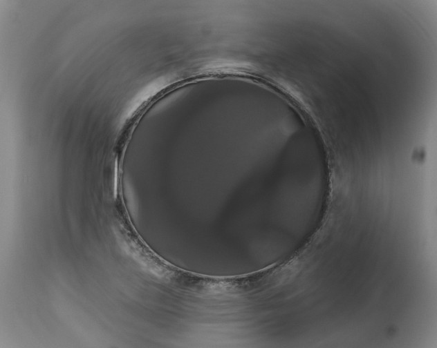 X0000113061219200909110906