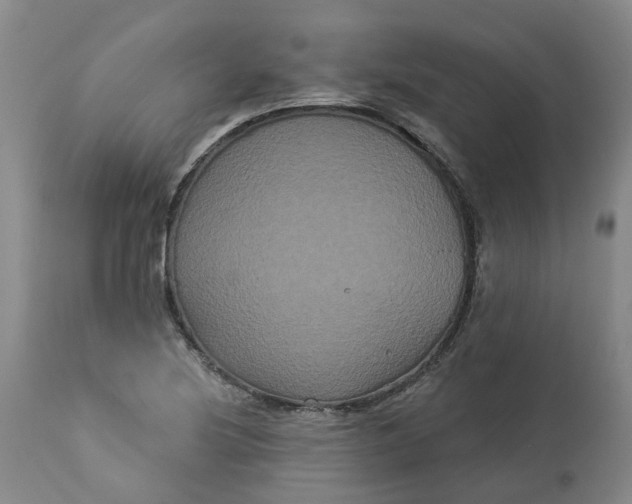 X0000113061220200909110906