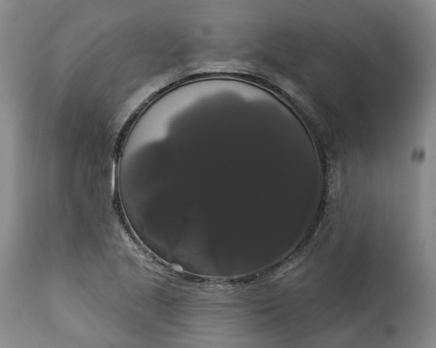 X0000113061221200909110906
