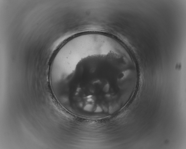 X0000113061222200909110906
