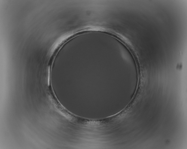 X0000113061223200909110906