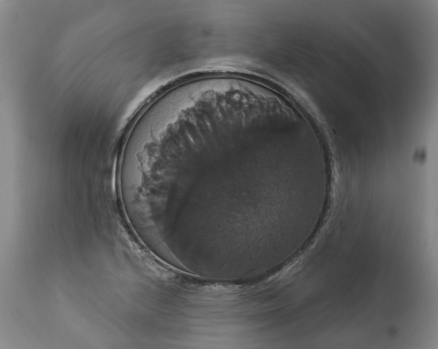 X0000113061224200909110906