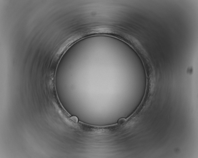 X0000113061225200909110906