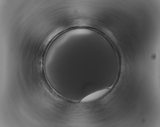 X0000113061226200909110906