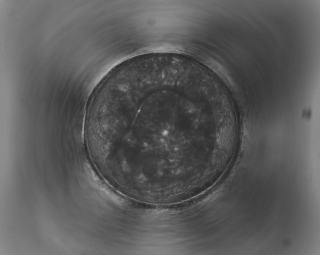 X0000113061228200909110906