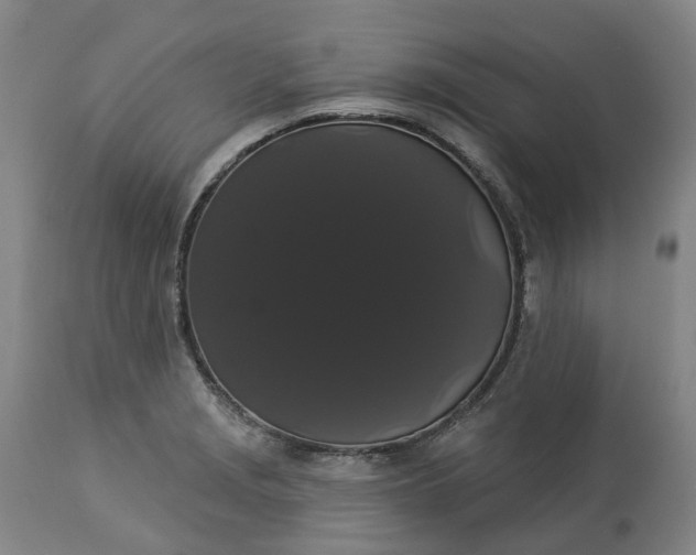 X0000113061229200909110906