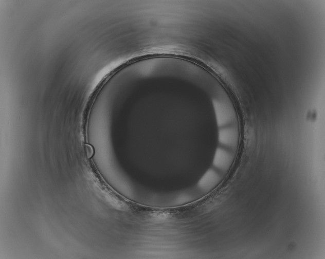 X0000113061230200909110906