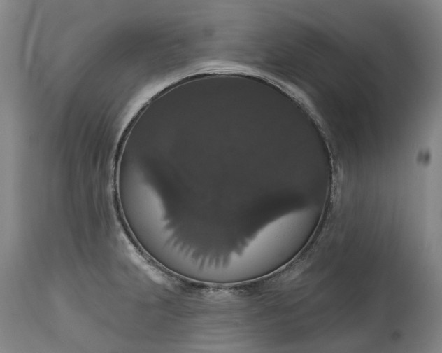X0000113061231200909110906