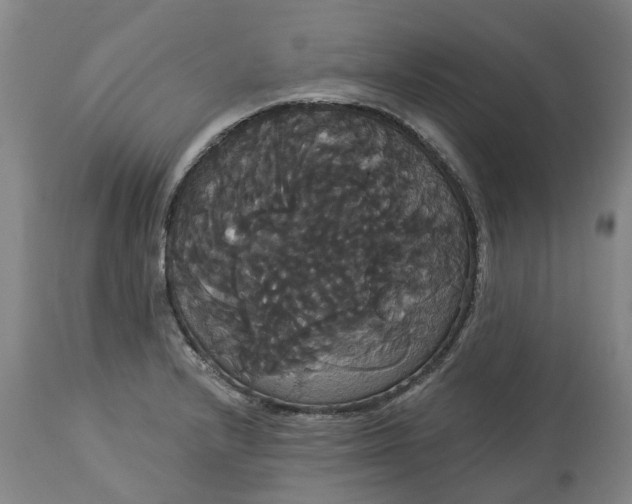 X0000113061232200909110906