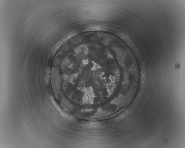 X0000113061233200909110906