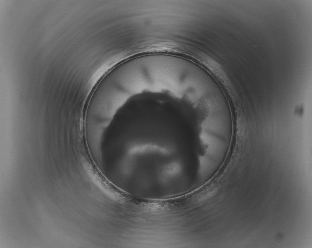 X0000113061234200909110906