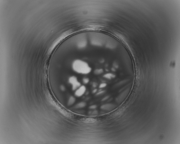 X0000113061235200909110906