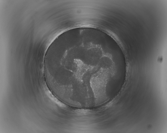 X0000113061236200909110906