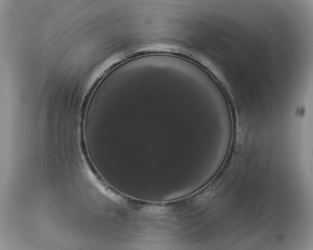 X0000113061237200909110906