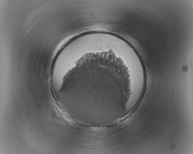 X0000113061240200909110906