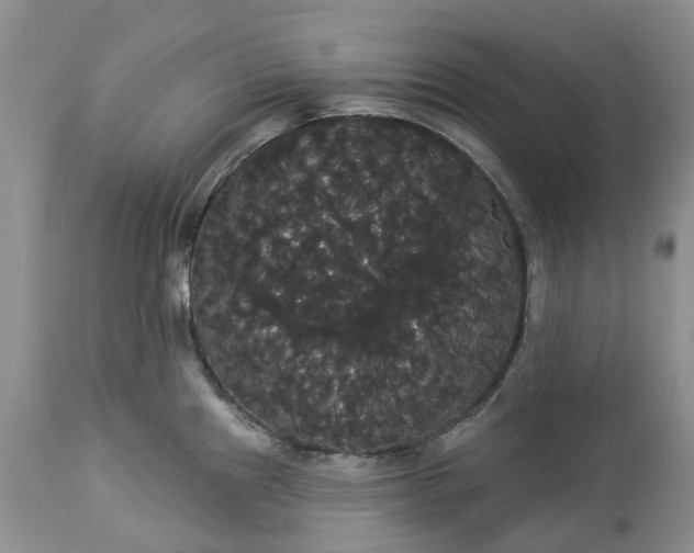 X0000113061241200909110906