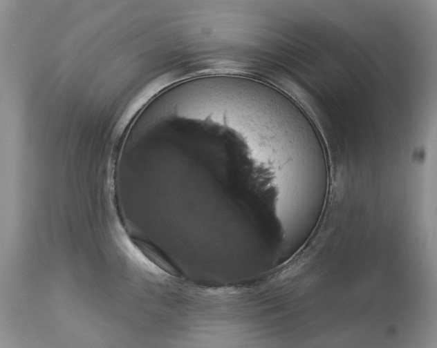 X0000113061243200909110906