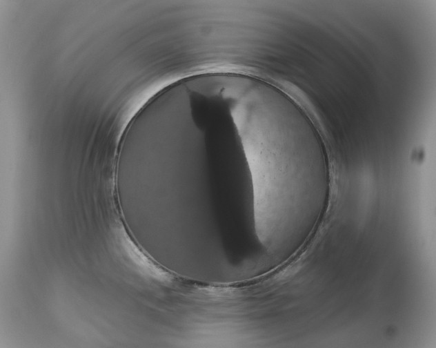 X0000113061244200909110906