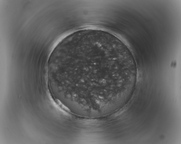 X0000113061247200909110906
