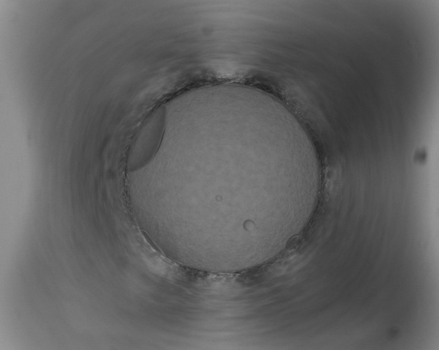 X0000113061249200909110906