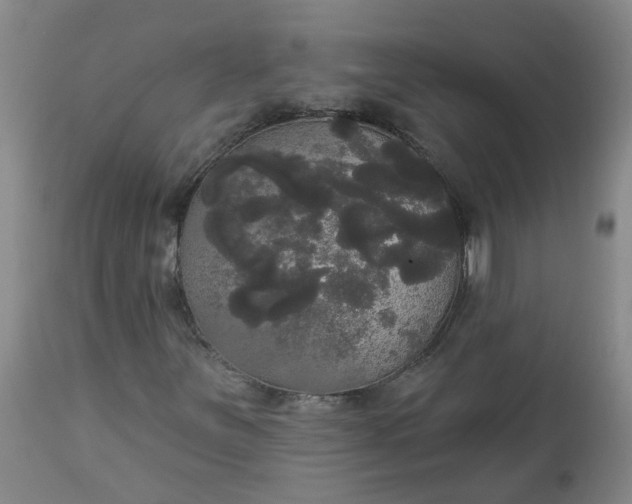 X0000113061251200909110906